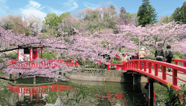「2024茂原桜まつり」の特設ページを公開しました！